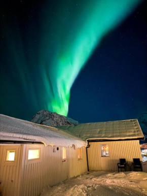 Vest Lofoten Panorama Apartment 5 min from Reinebringen and Bodø ferry
